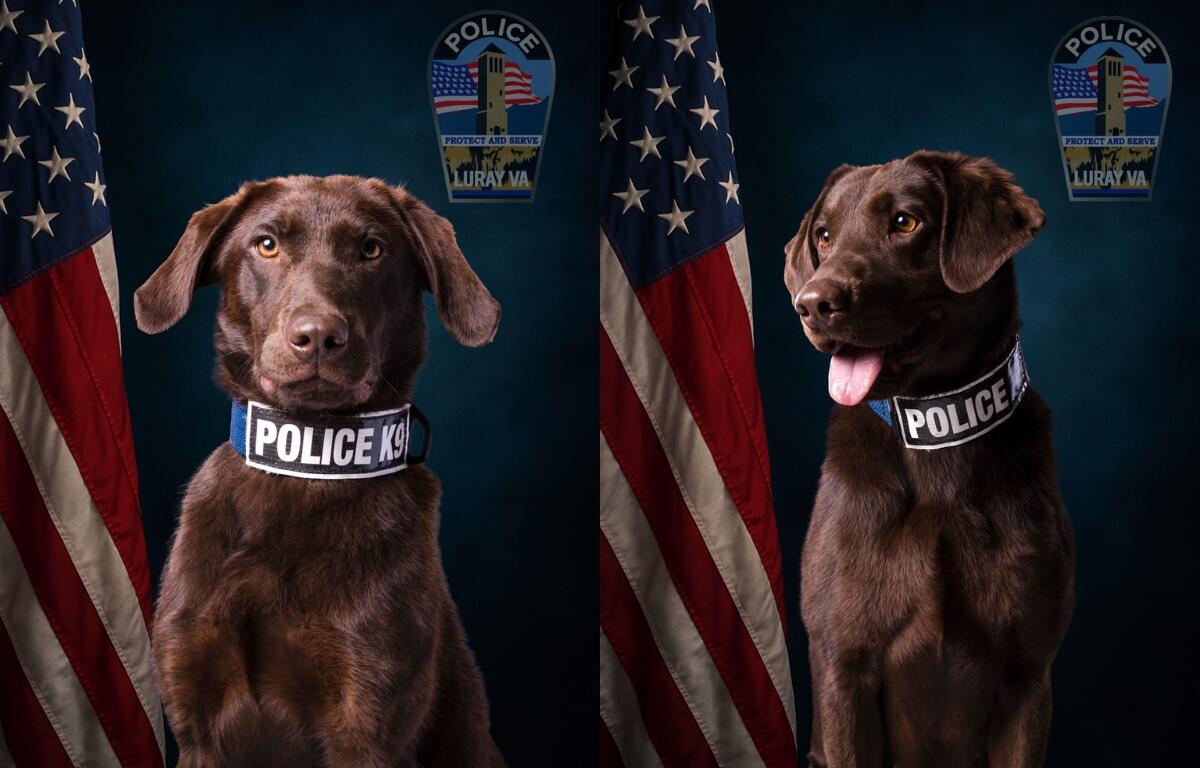 Luray K9s Skye and Summer