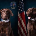 Luray K9s Skye and Summer