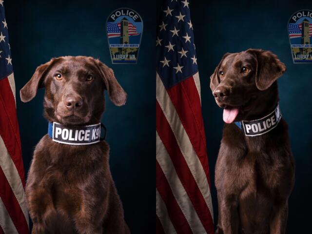 Luray K9s Skye and Summer