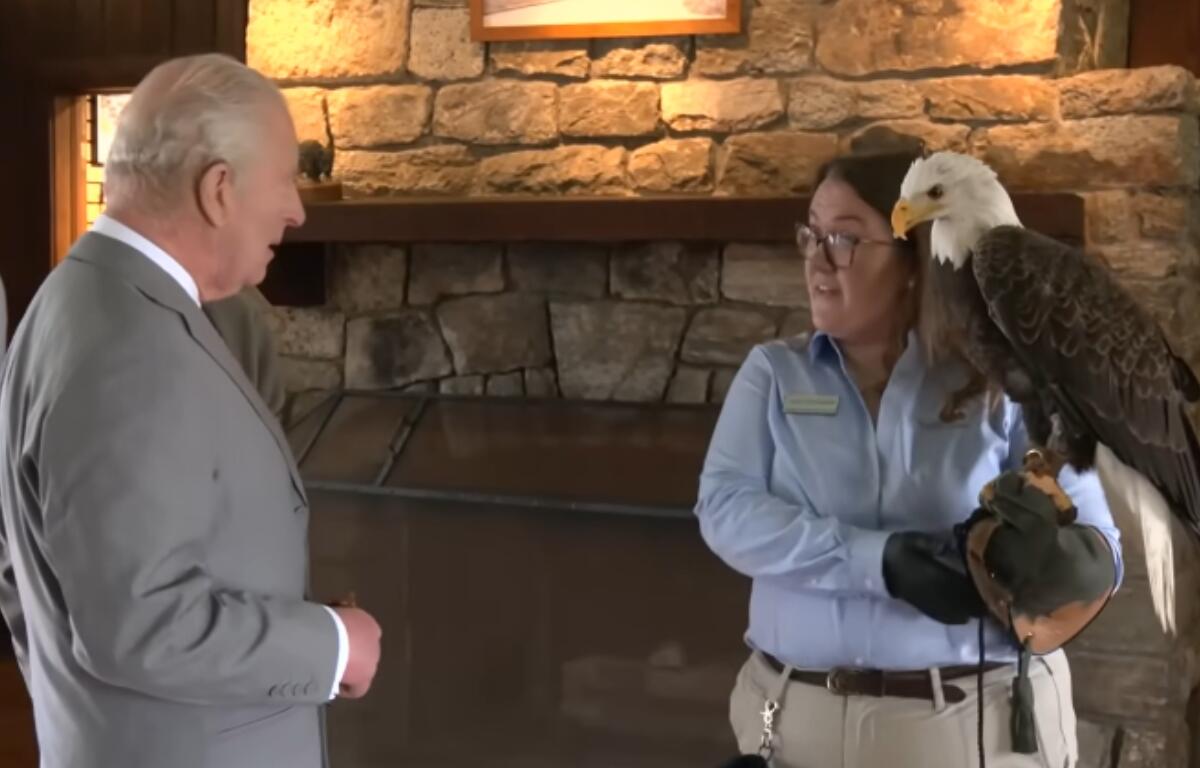 Buddy the bald eagle with King Charles.