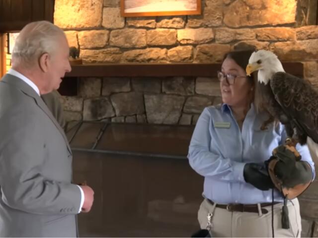Buddy the bald eagle with King Charles.