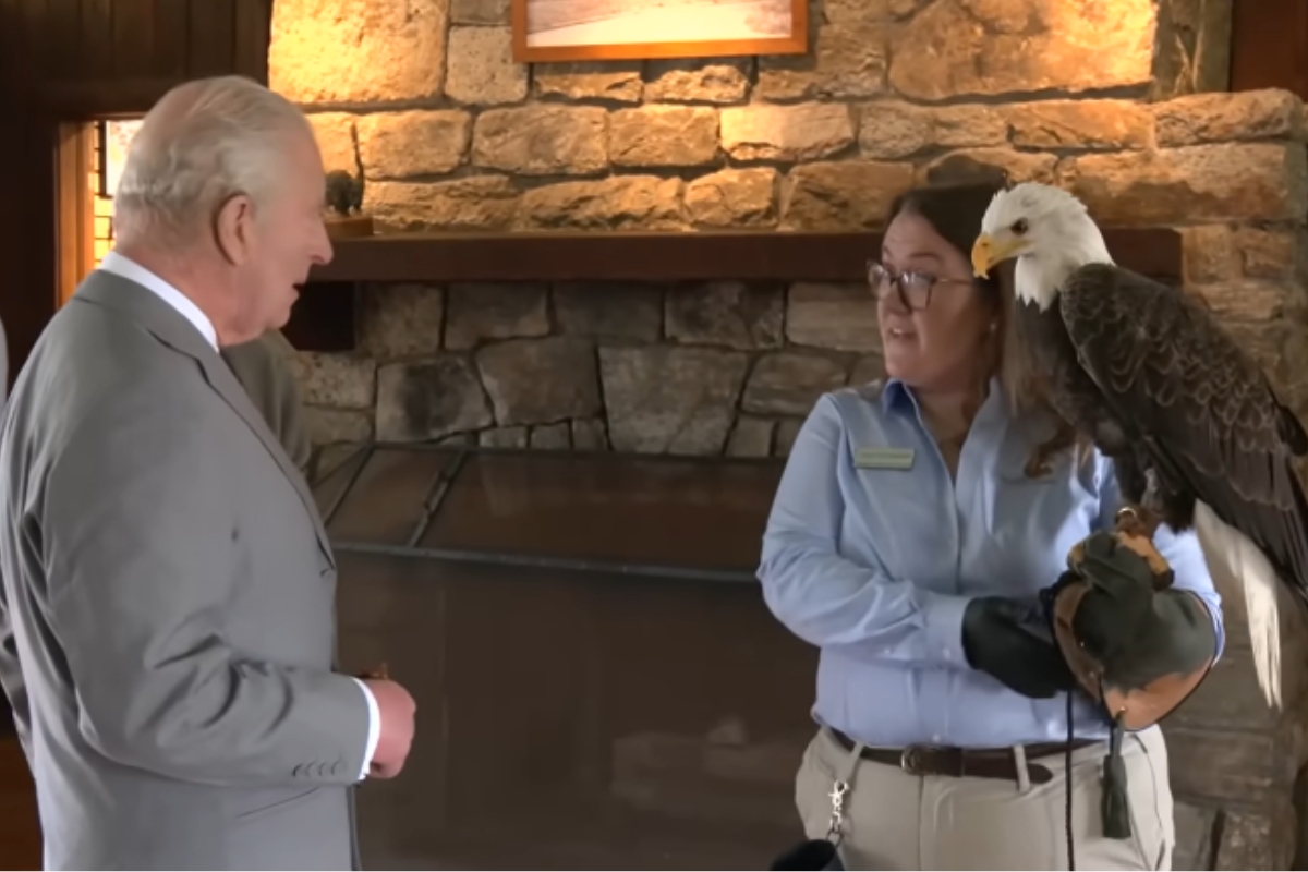 Buddy the bald eagle with King Charles.