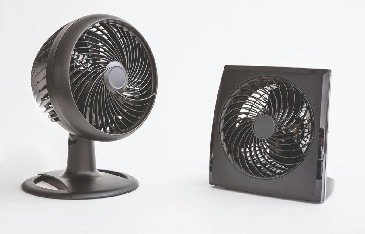 fan