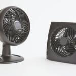 fan