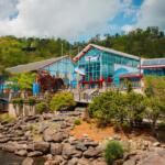 ripleys aquarium