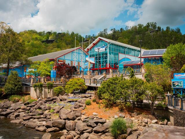 ripleys aquarium