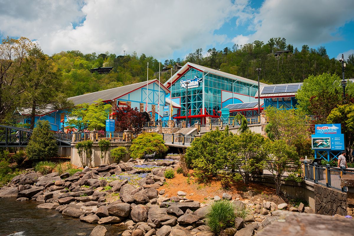 ripleys aquarium