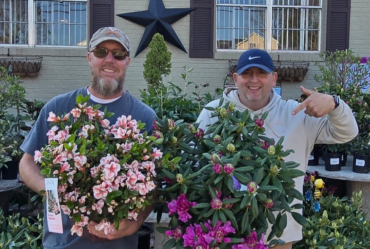 Two men stand outdoors in front of a house, each holding a flowering azalea shrub with pink and white blooms.
