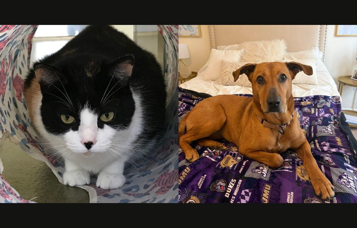 Peggy (left) and Rozwell (right)