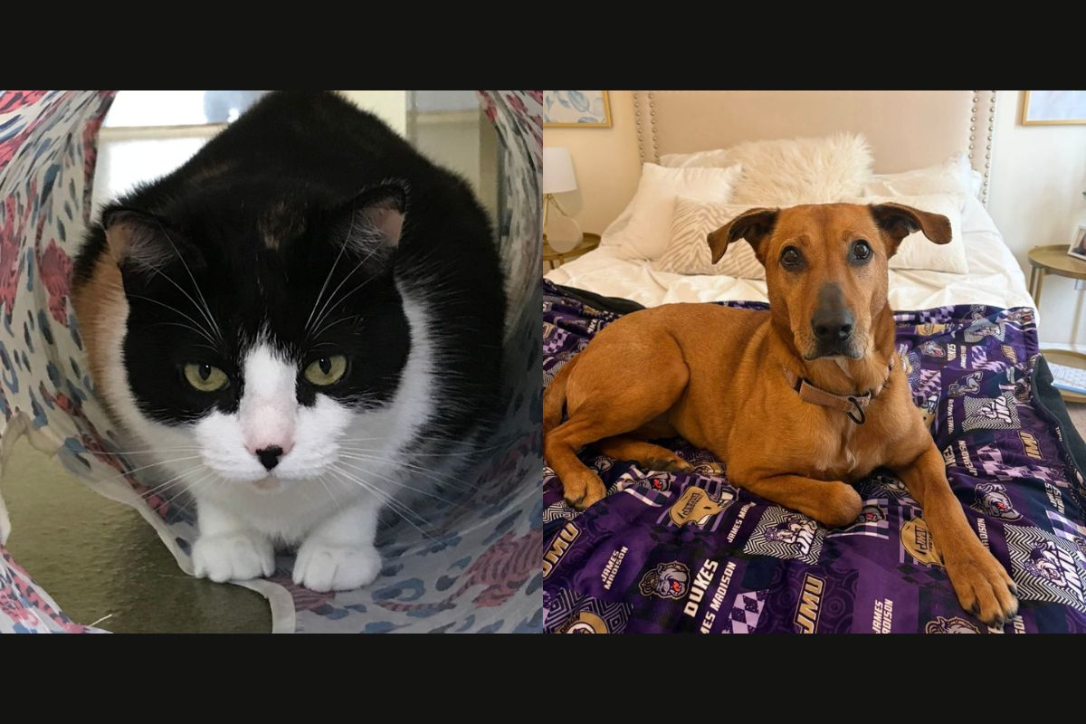 Peggy (left) and Rozwell (right)