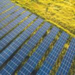 Solar panels in a field