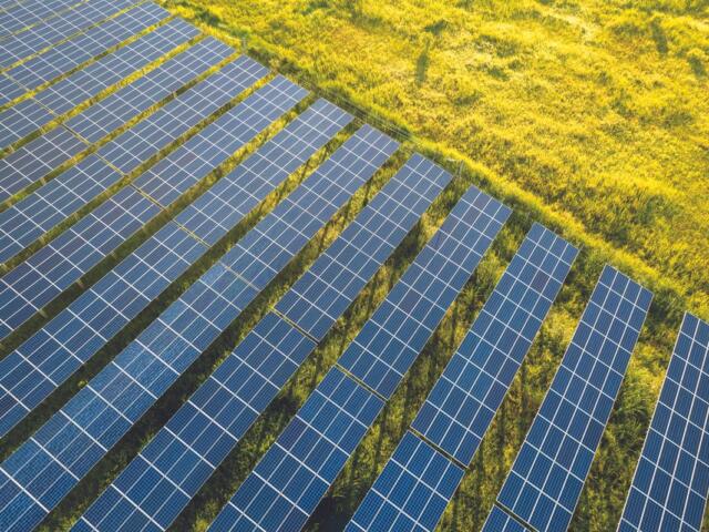 Solar panels in a field