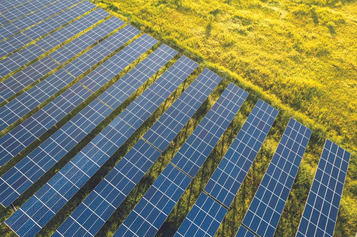 Solar panels in a field