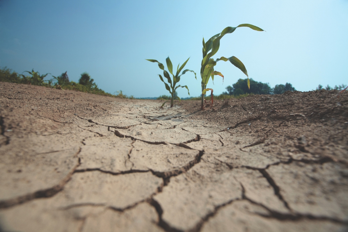 Up close of dry dirt