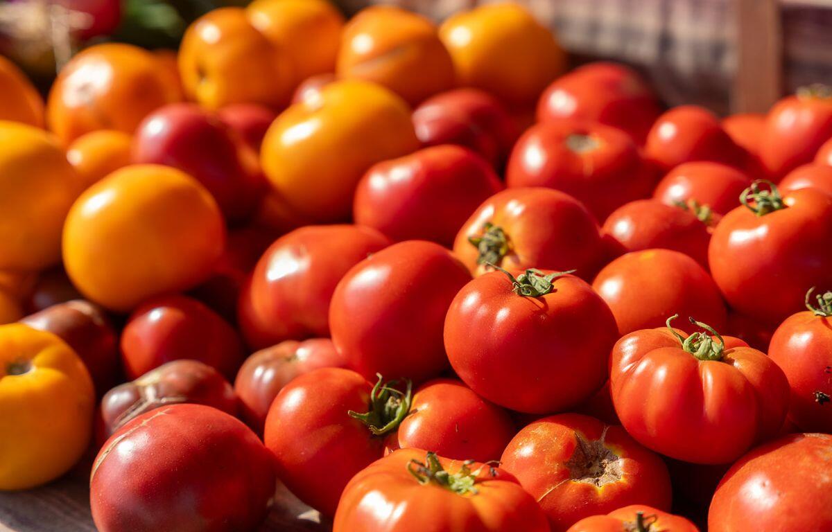Tomatoes on a table