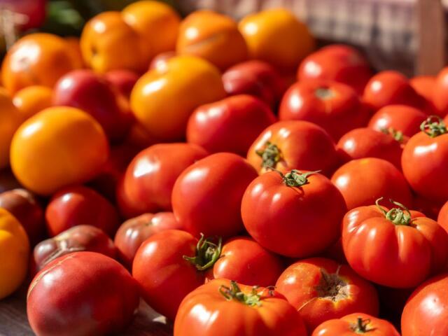 Tomatoes on a table