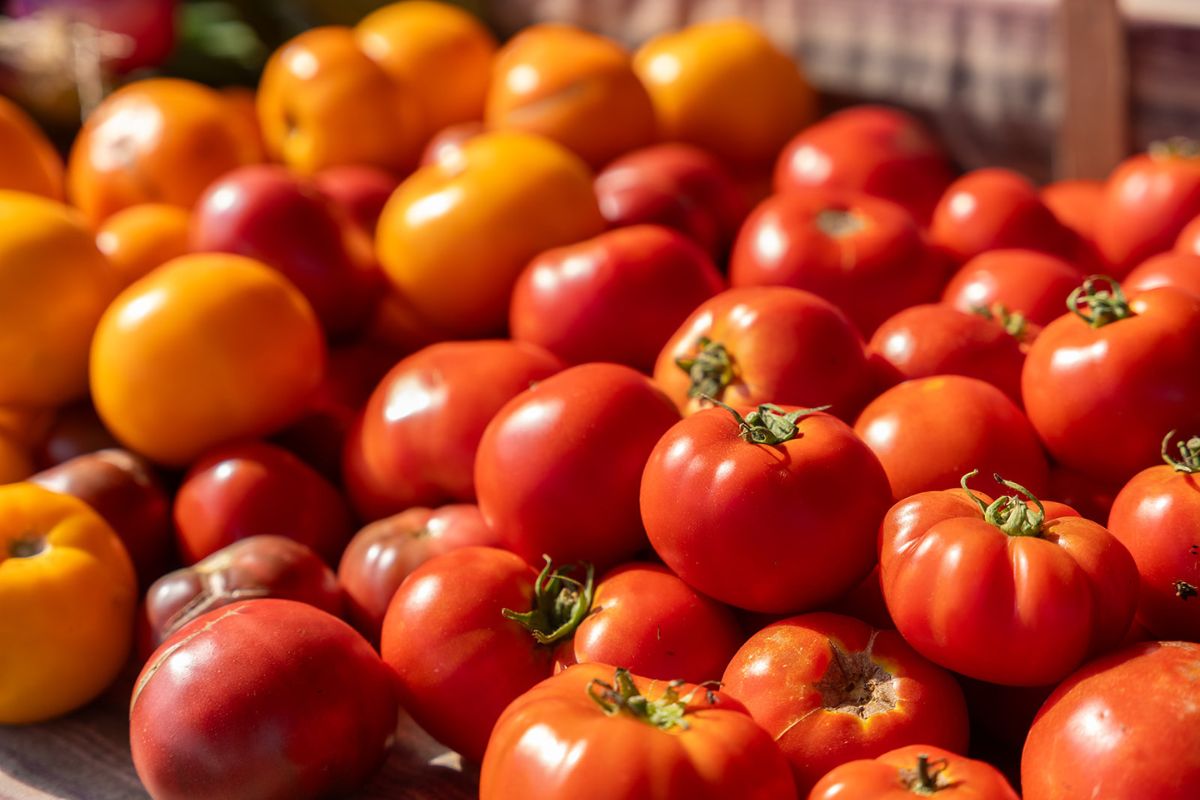 Tomatoes on a table