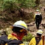 fire forest fire rockbridge county