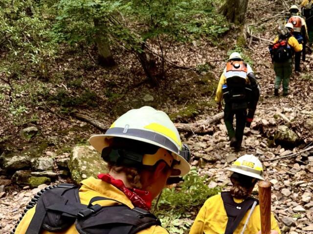fire forest fire rockbridge county