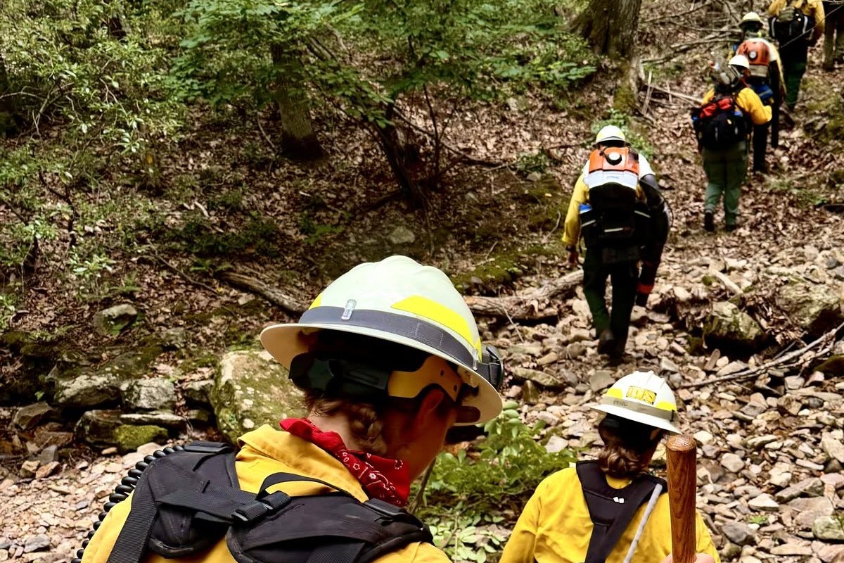 fire forest fire rockbridge county
