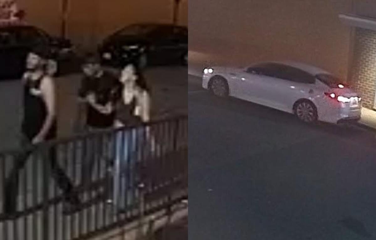 Mother Duck Statue theft suspects