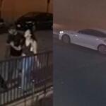 Mother Duck Statue theft suspects
