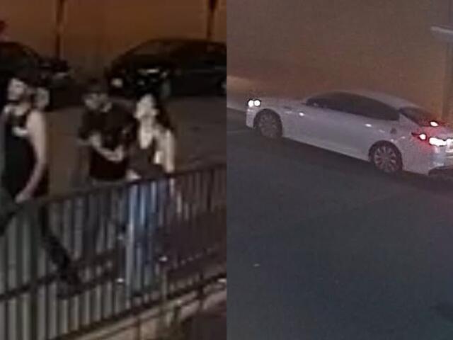 Mother Duck Statue theft suspects