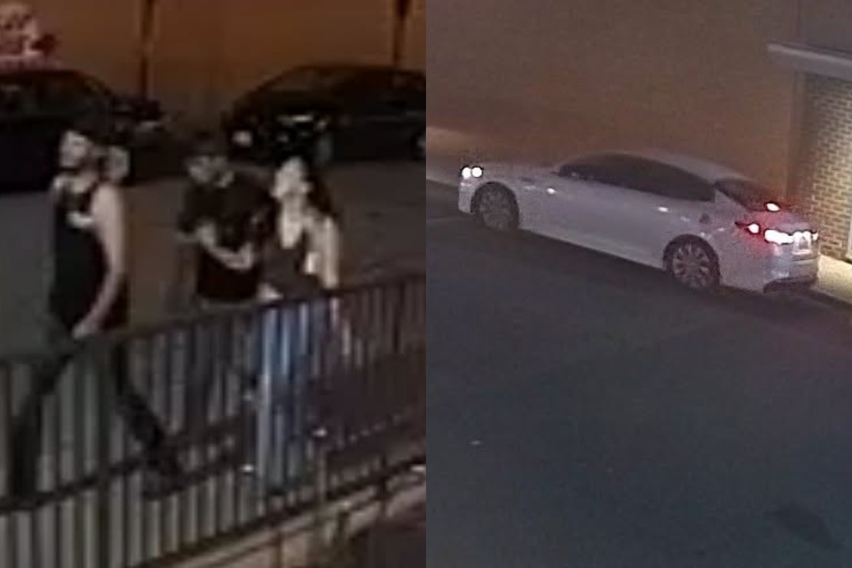 Mother Duck Statue theft suspects