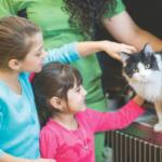 Two kids pet a cat at a shelter