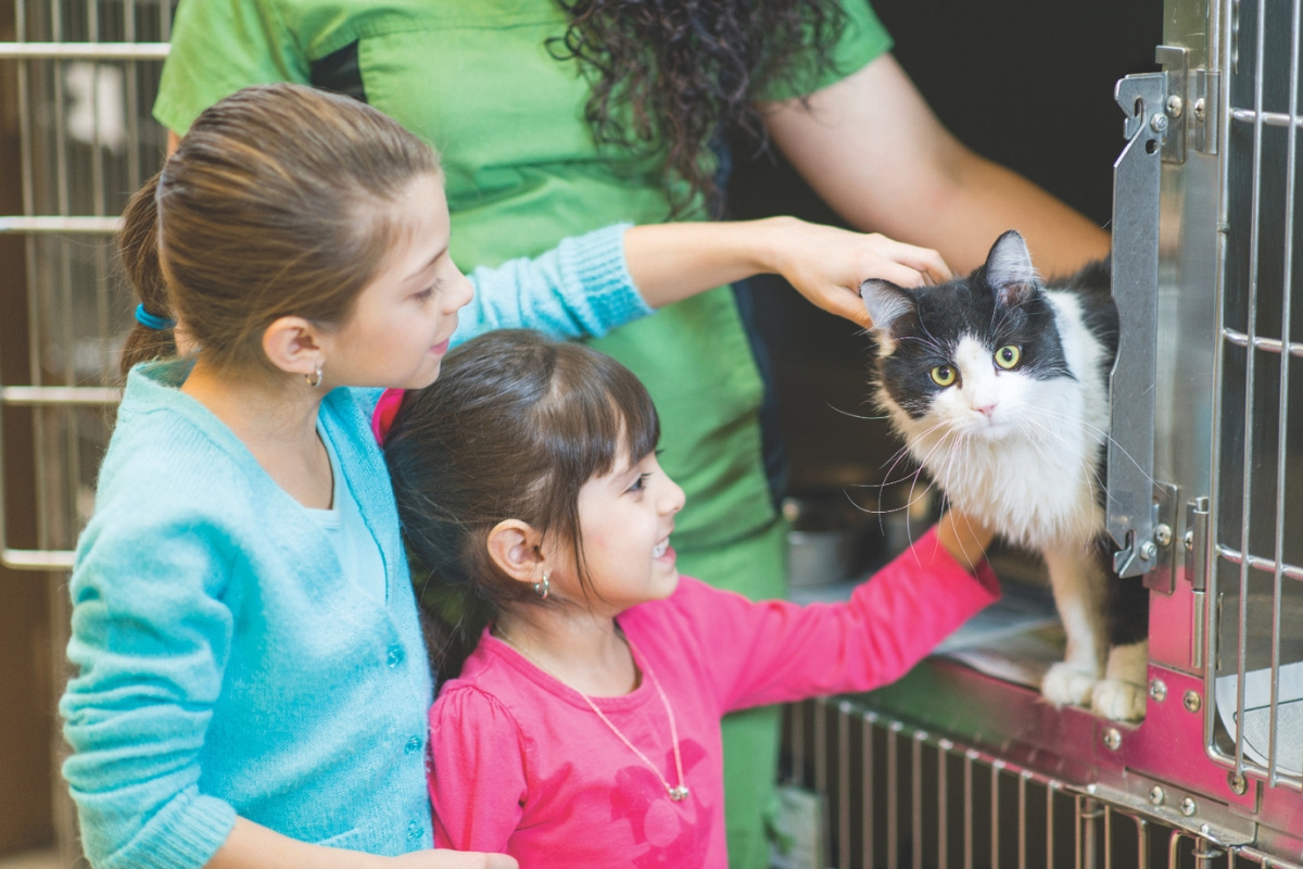 Two kids pet a cat at a shelter