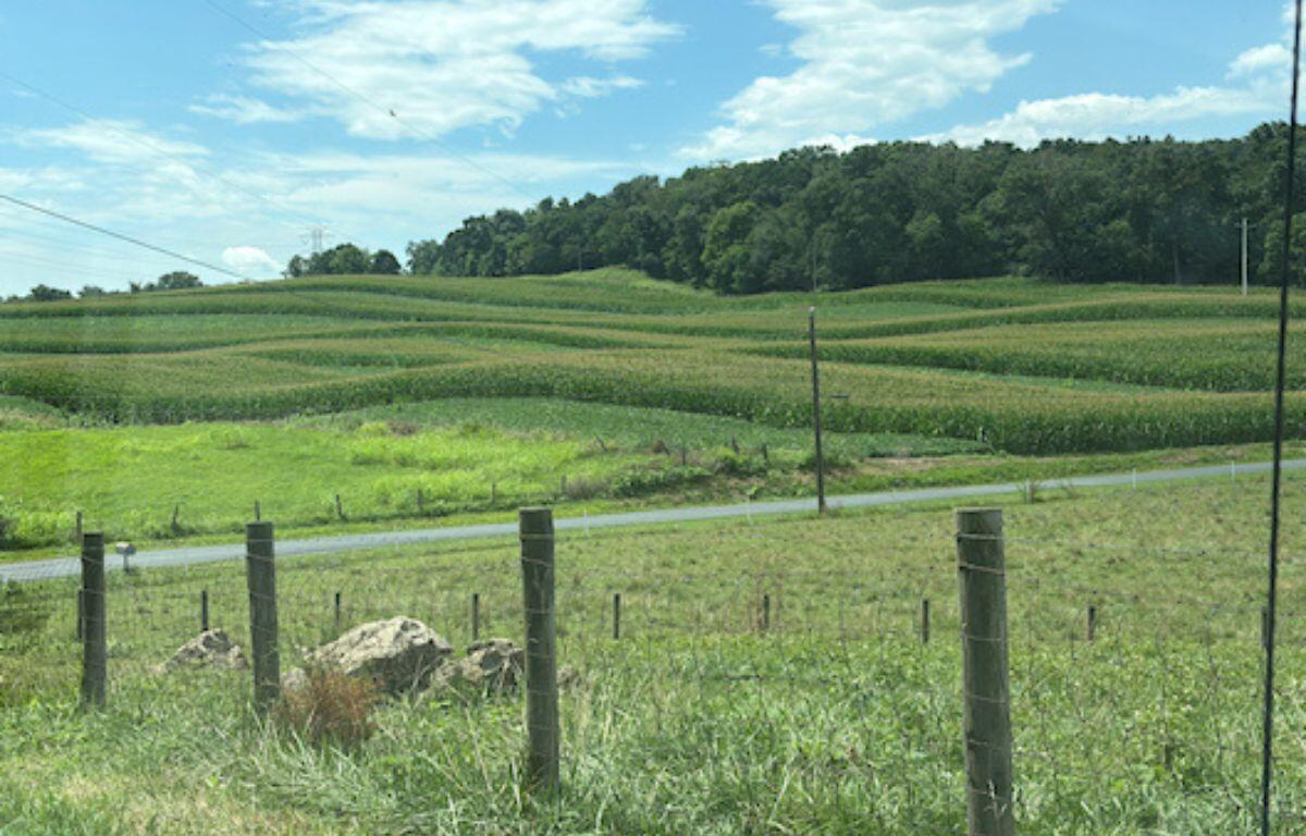 Farm field
