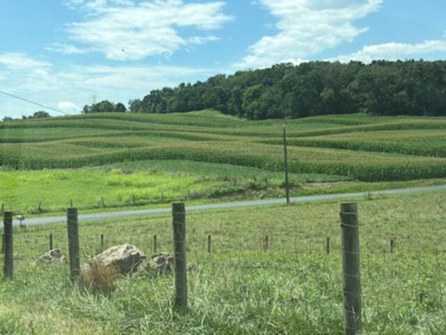 Farm field