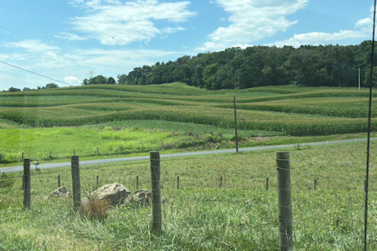 Farm field