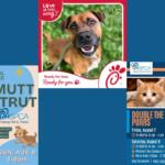 Various posters for events at the RHSPCA