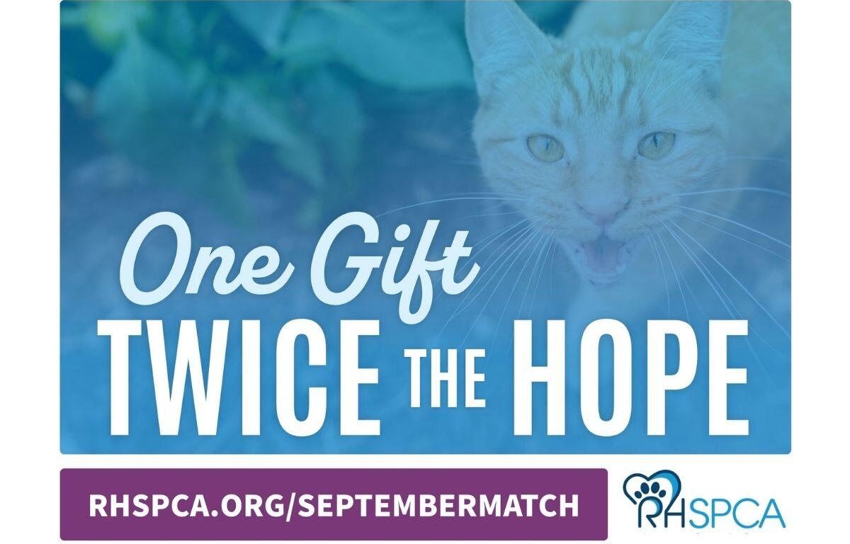 One Gift, Twice the Hope poster