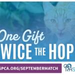 One Gift, Twice the Hope poster
