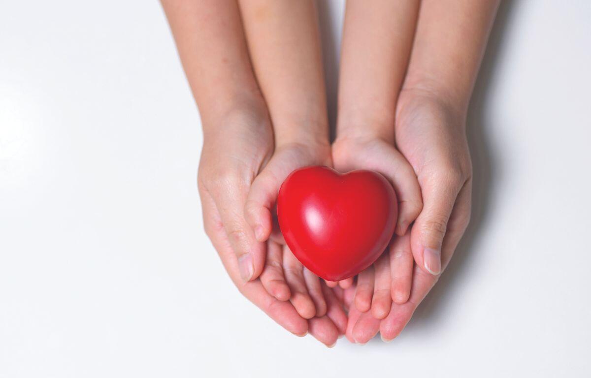 Hands holding a heart