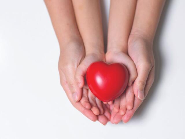 Hands holding a heart