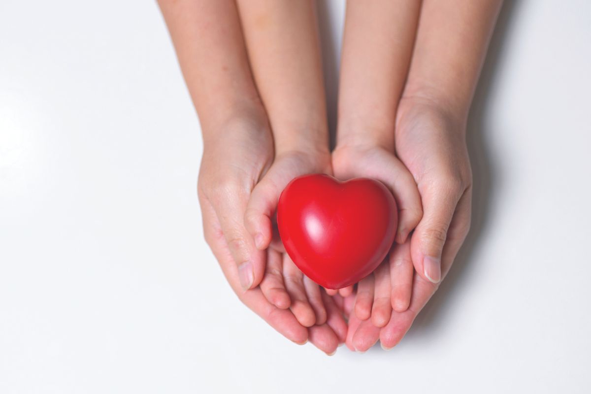 Hands holding a heart