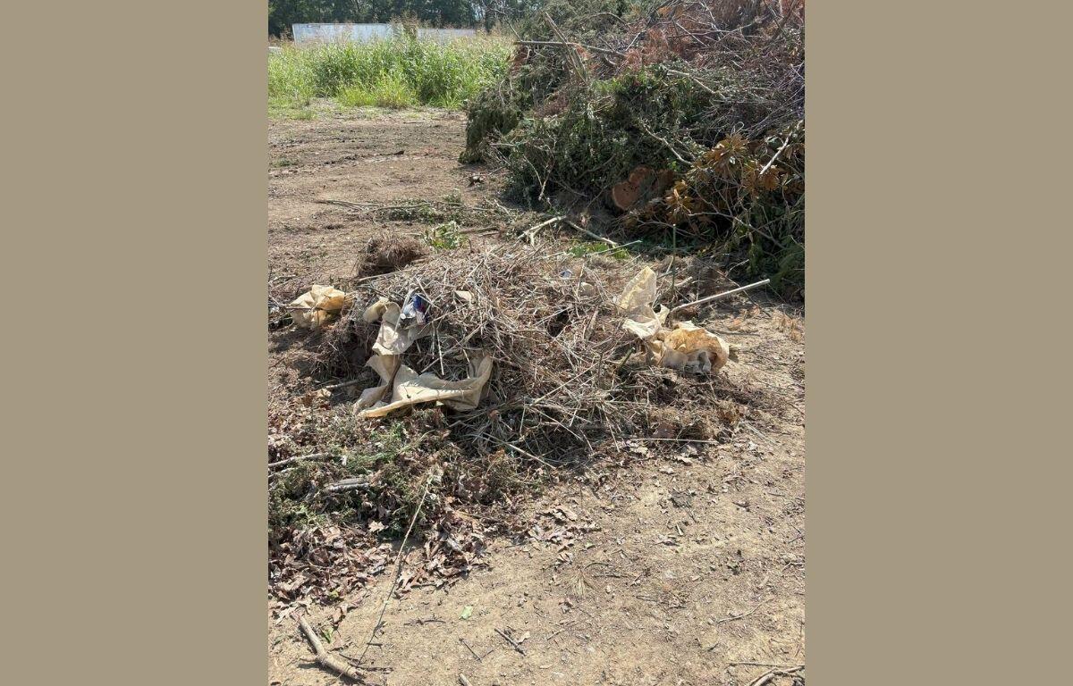 Garbage in the Brush Site