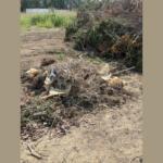 Garbage in the Brush Site