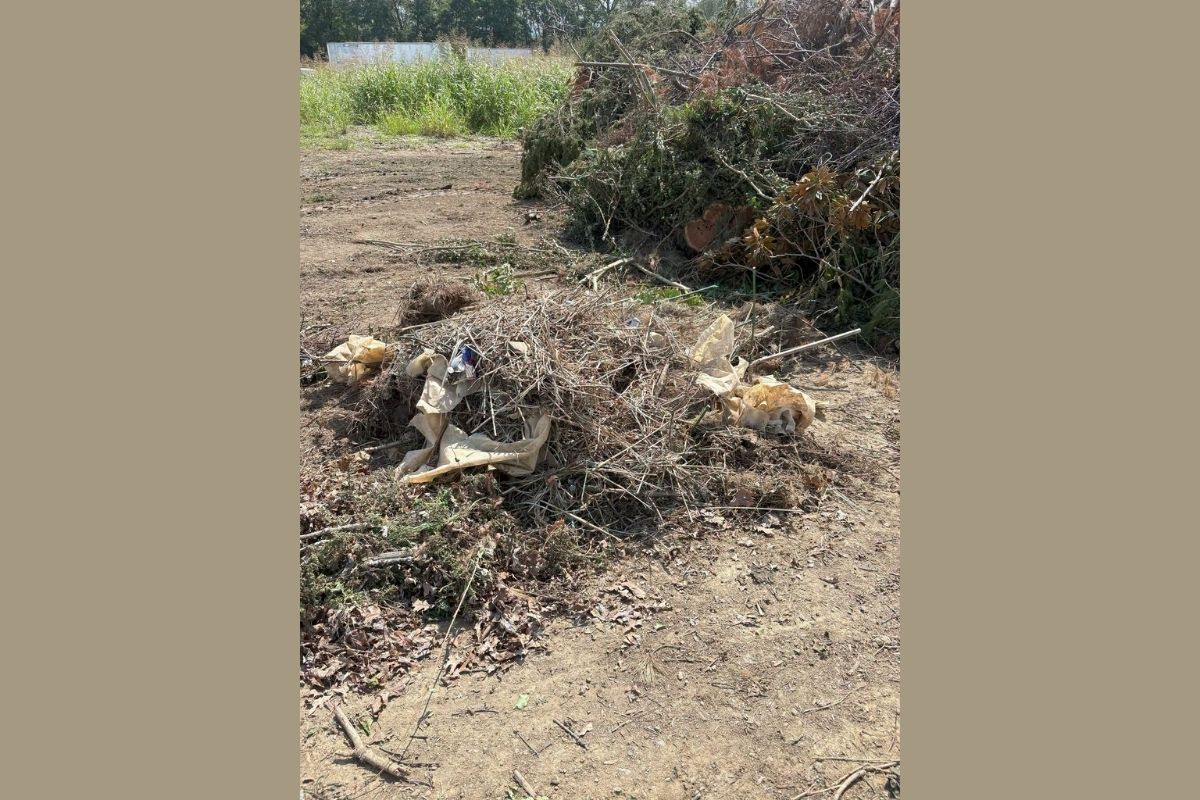 Garbage in the Brush Site