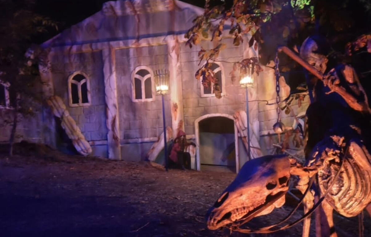 Fear Forest