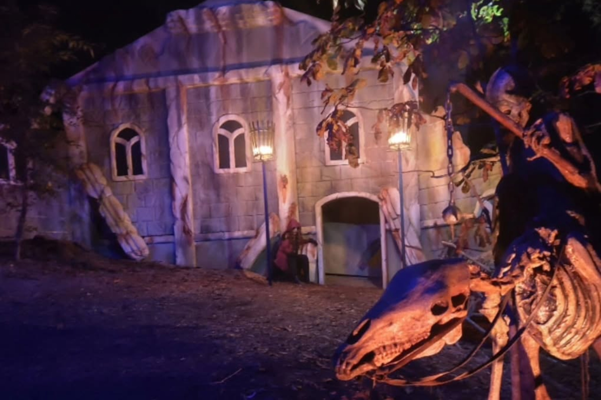 Fear Forest