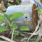 hazardous waste