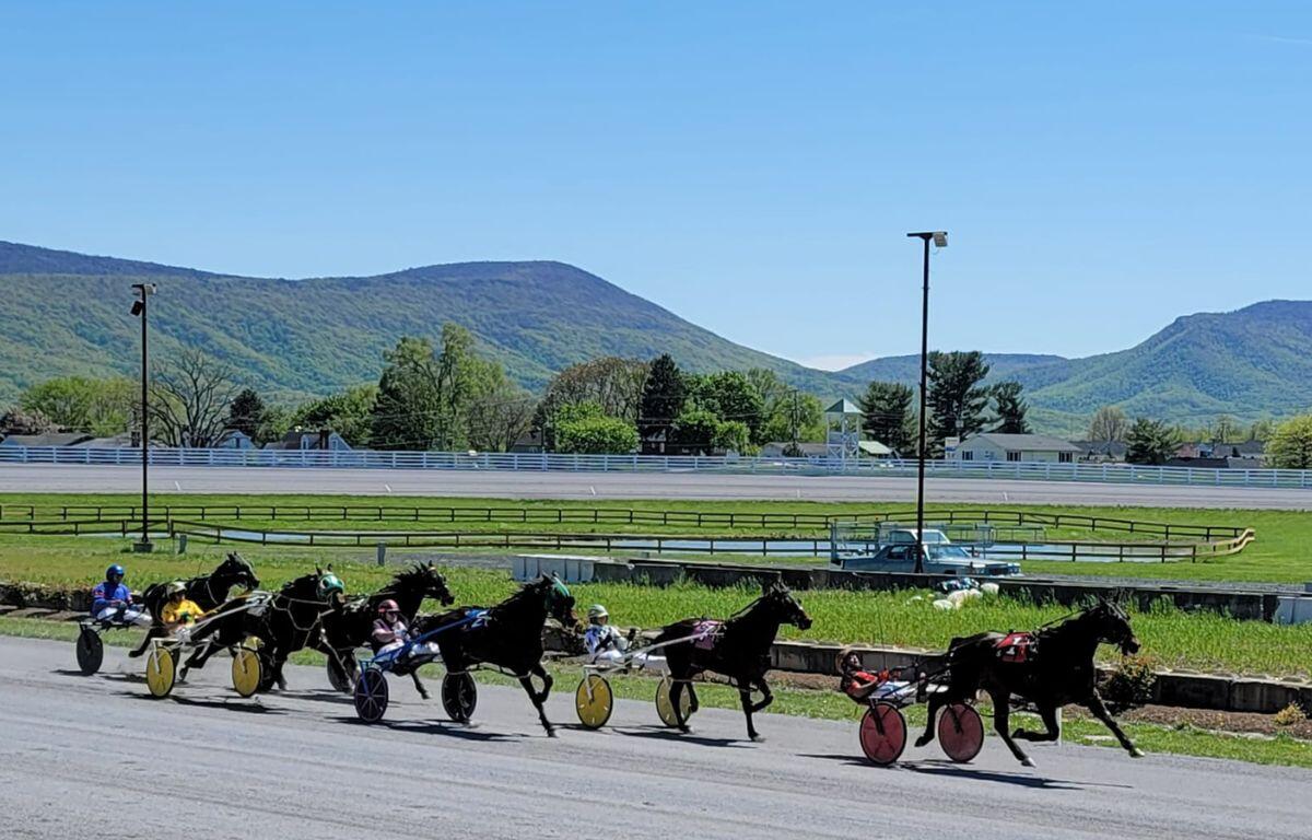 shenandoah downs