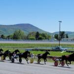 shenandoah downs
