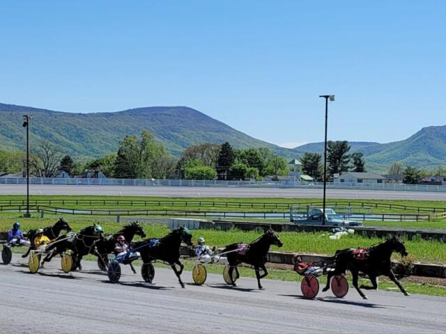 shenandoah downs