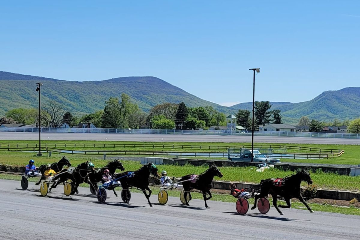 shenandoah downs