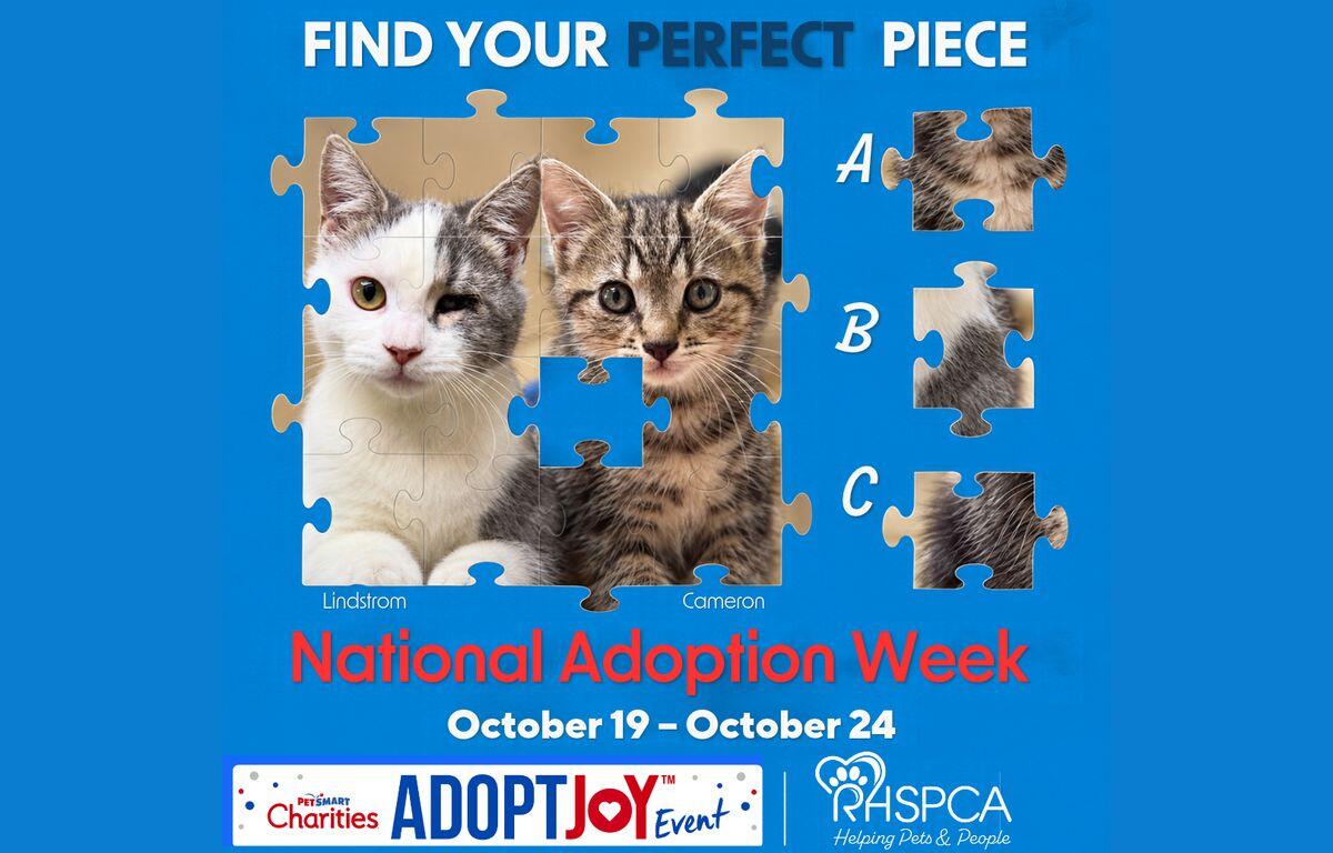 National Adoption Week poster